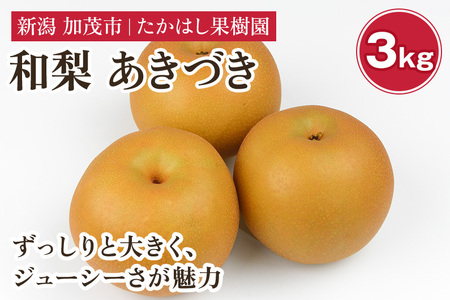 【2026年先行予約】たかはし果樹園 謹製 新潟県産和梨 あきづき 約3kg《9月中旬～順次配送》たかはし果樹園あきづき梨