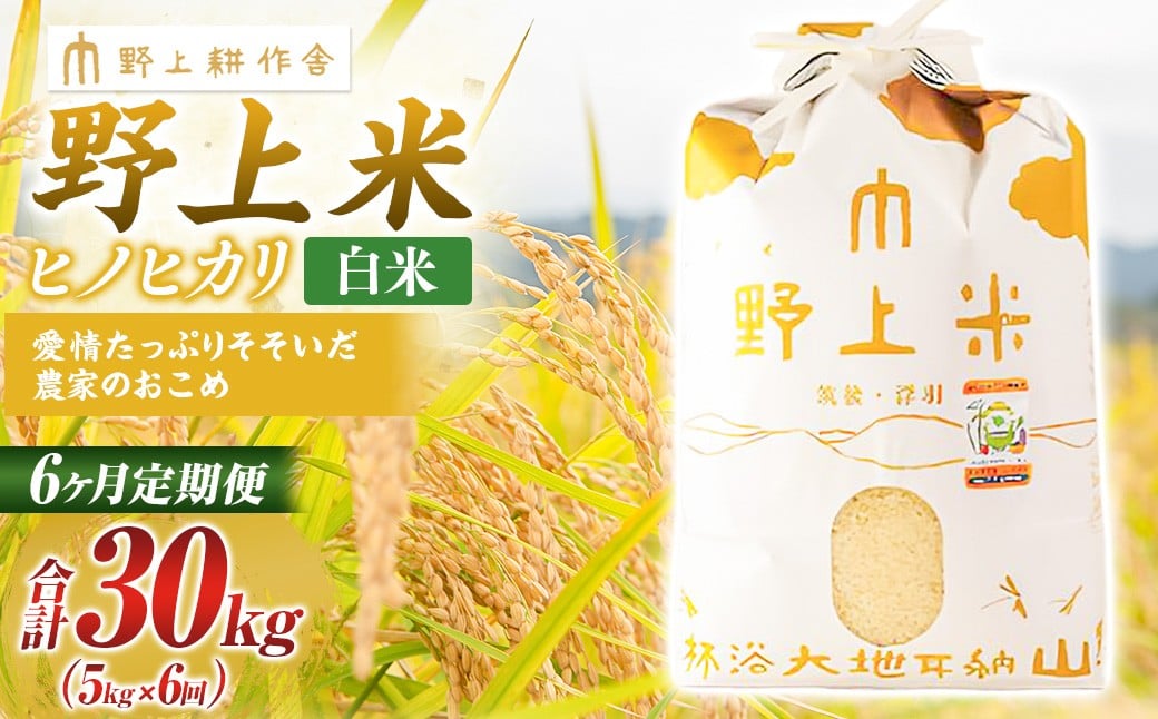 【6か月定期便】 白米 野上米 5?×6回 計30kg 【2025年10月下旬より発送予定】 ヒノヒカリ 米 こめ コメ お米 常温 国産