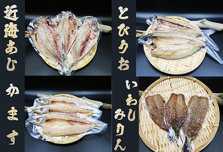 【極味の定期便】こだわりの国産ひもの詰合せ ５種１３枚 × 選べる５カ月《毎月発送》　[0075-0001]