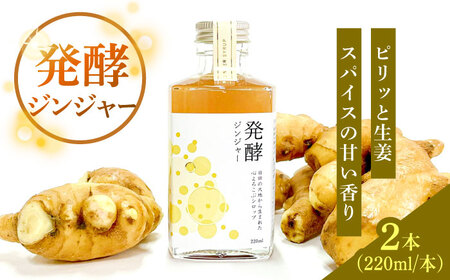 【お中元対象】ピリっと生姜にスパイスの甘い香り！身体にも心にも優しい発酵ジンジャーシロップ！発酵ジンジャー（2本セット） スパイス 炭酸 シロップ[ARDA010]