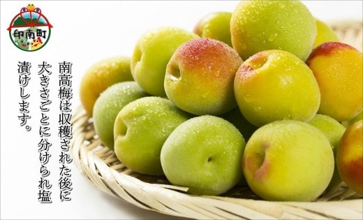 紀州南高梅詰め合わせセット 600g（蜂蜜、しそ梅、味梅各100g×2個）