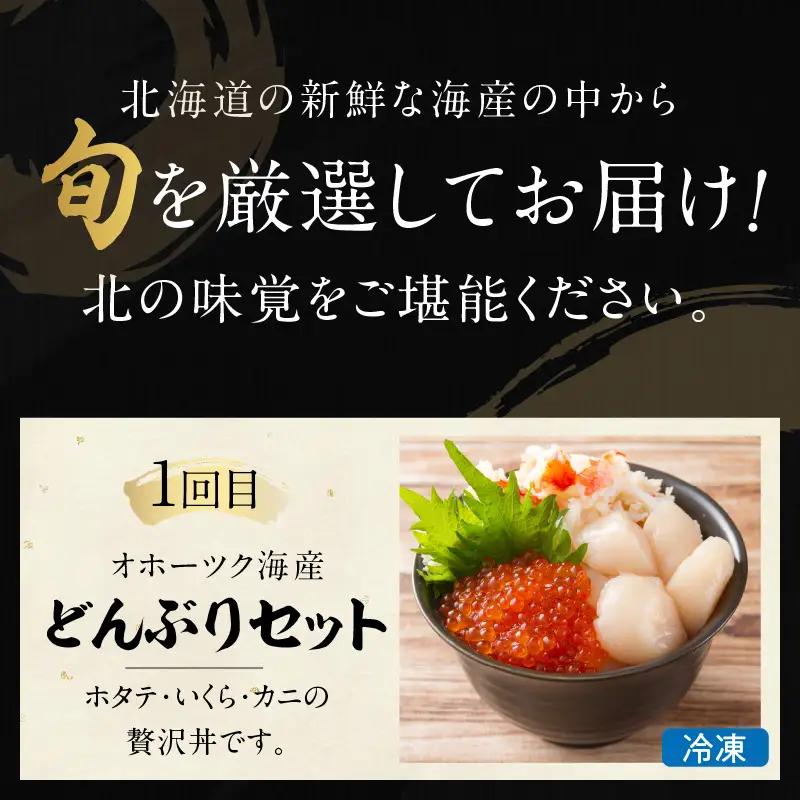 【3ヶ月定期便】船長おすすめ！海の幸セット ( ほたて ホタテ 海鮮丼 ほっけ 鮭 いか サーモン しじみ 定期便 魚介 )【999-0309】