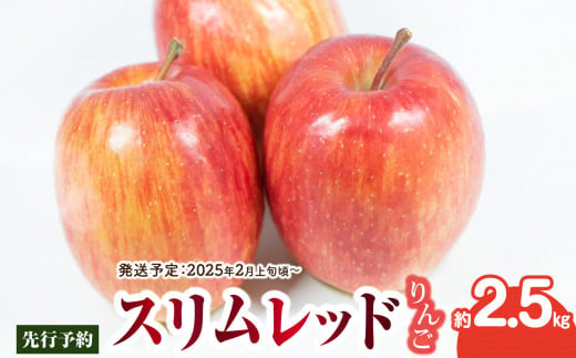 《先行予約》スリムレッドりんご 約2.5kg【2025年2月上旬頃～発送予定】【大江町産・山形りんご・りんご専科 清野】 【015-069】