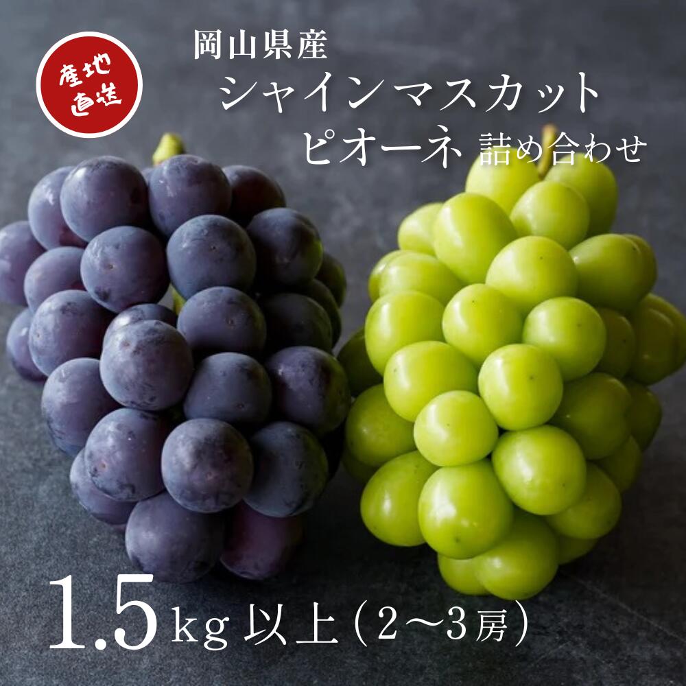 【ふるさと納税】 【2026年先行予約】 厳選 岡山県産 シャインマスカット・ピオーネ 詰め合せ 1.5kg以上（2～3房） / 産地直送 朝採れ ぶどう 食べ比べ 先行予約 フルーツ 真庭市