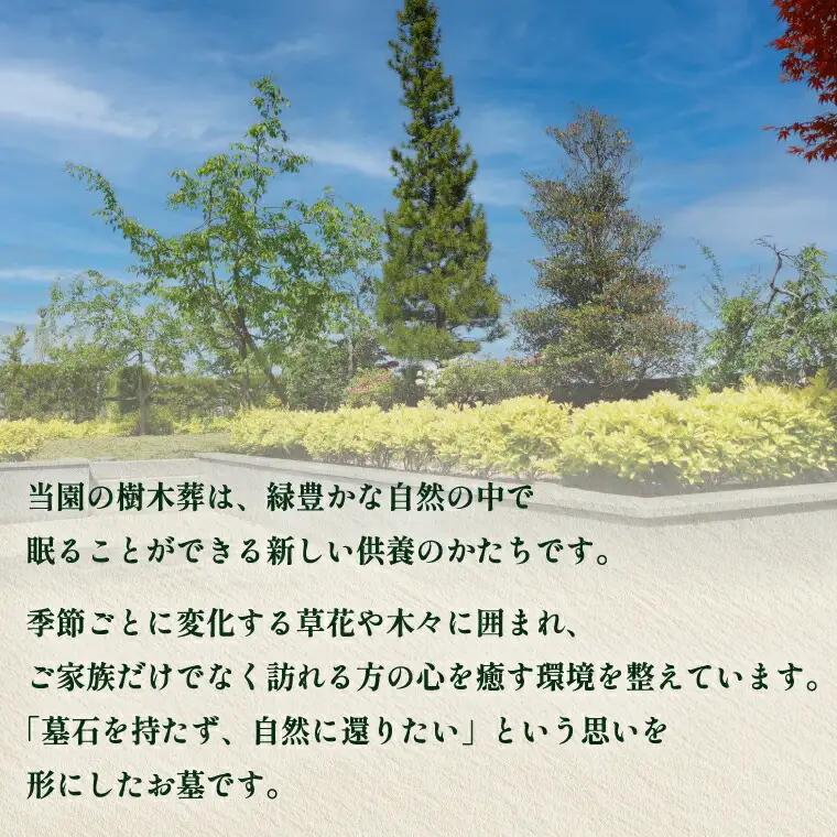 興福院平和公園共同墓地 樹木葬 〈 樹木葬 納骨 永代管理 宗教宗派不問 墓じまい ふるさと納税 柏市 〉