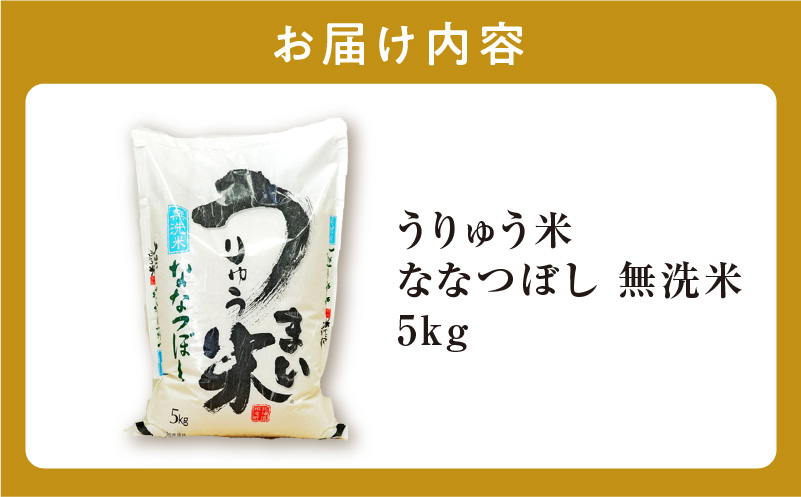 【11月配送】新米先行予約 うりゅう米 ななつぼし 無洗米 5kg（5kg×1袋） 【11月配送】 無洗米5kg