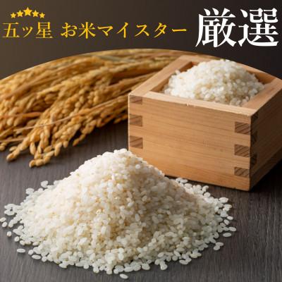 ふるさと納税 松原市 ご飯パック 金賞健康米 玄米・黒米 120g×12個入り 国産 レンチン |  | 03
