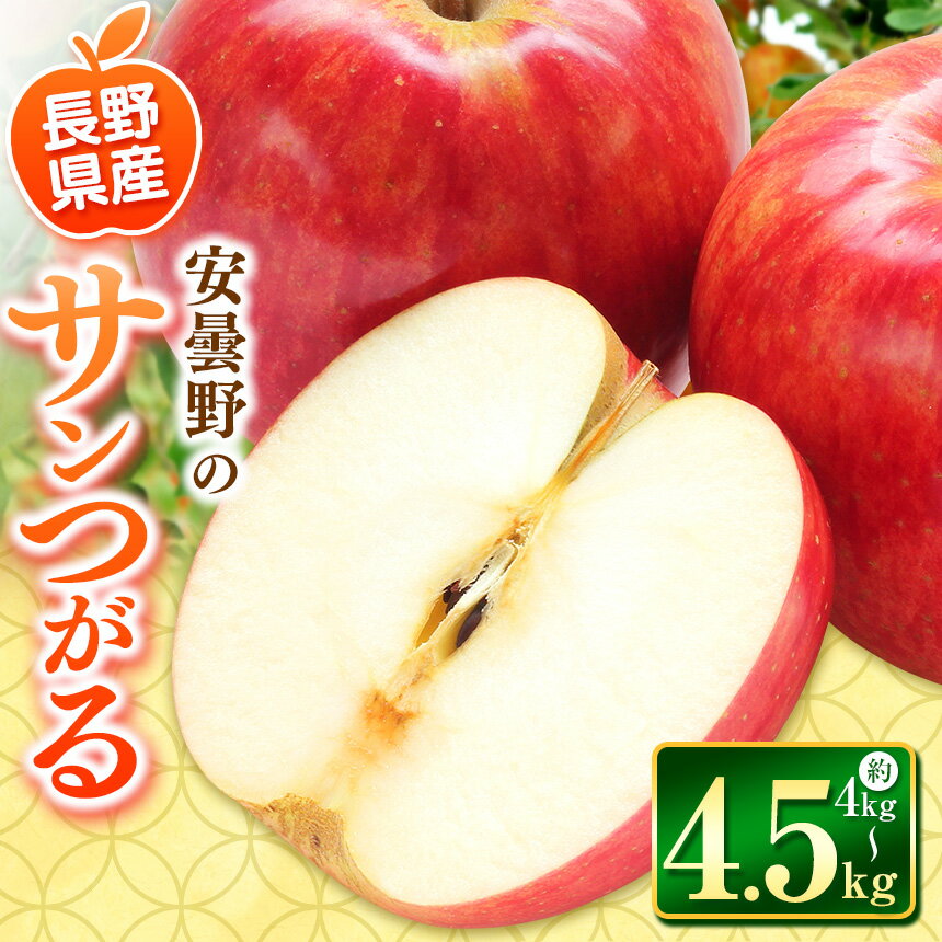 【ふるさと納税】*【2025年先行予約】東印平林農園 サンつがる 約4～4.5kg ｜ リンゴ りんご 林檎 果物 くだもの フルーツ 果実 果汁サンつがる さんつがる 家庭用 長野県 松川村 信州