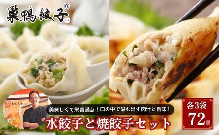 餃子セット 巣鴨餃子 水餃子 焼餃子 食べ比べ 餃子セット【計72個 各3袋】【冷凍】