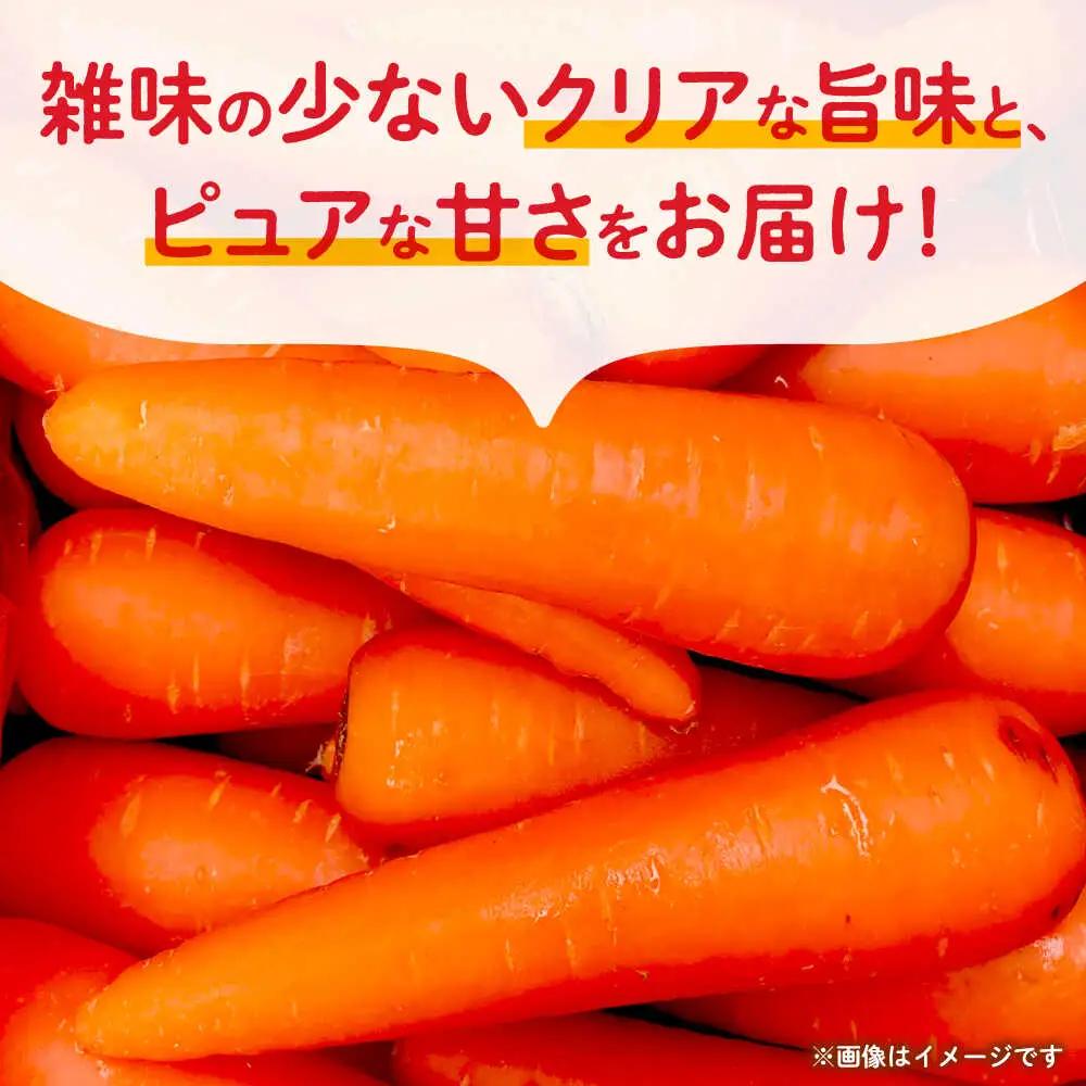 【先行予約】にんじん 約3kg 天日塩＆発酵土壌で作ったこだわりの人参 【株式会社 夢アグリ】[ZCL018]