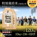 【ふるさと納税】【通年受付】≪令和6年産　≫【定期便／1ヶ月おき全6回】農家直送！魚沼産コシヒカリ特別栽培「白羽毛の米」精米(10kg×2袋)×6回 120kg　定期便・ お米 白米 安心　　お届け：入金の翌月以降発送。通年受付にて、1ヶ月おきに月全6回お届けいたします。