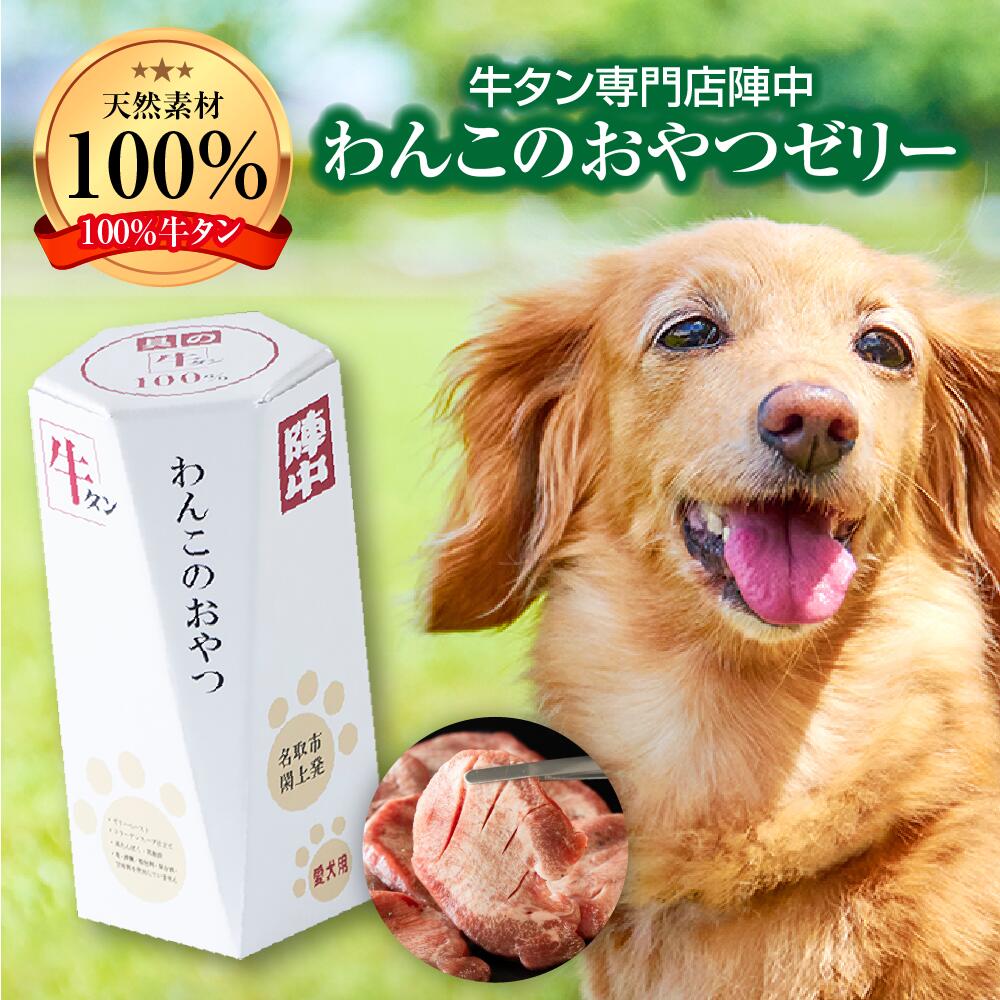 【ふるさと納税】陣中 わんこのおやつペースト5本入り1箱