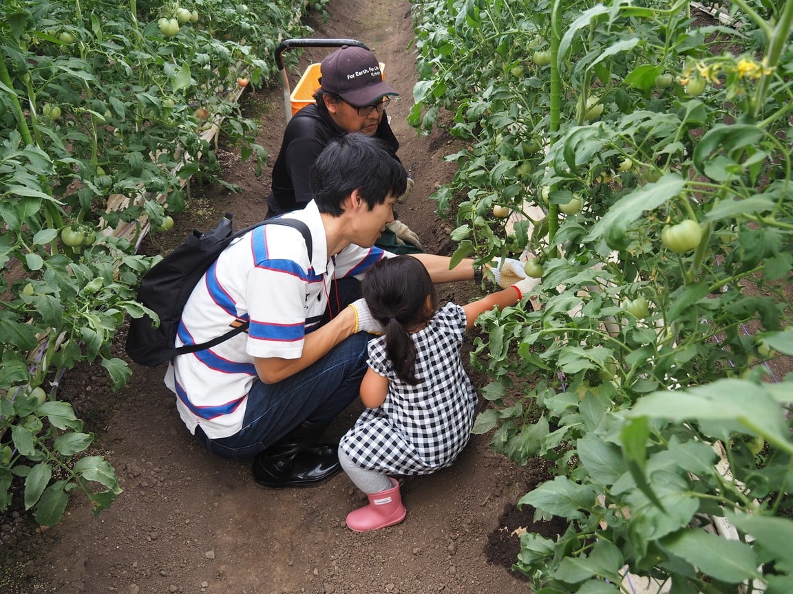 
                  ひがしおうみ農業体験＆古民家貸し切り宿泊チケット NPO法人愛のまちエコ倶楽部 滋賀県 東近江市 F24 宿泊券 体験型 農業体験 古民家 貸切 滋賀
                