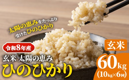 【令和8年産】 岡山県産 ひのひかり 笠岡産 10kg×6回（計60kg） 太陽の恵み （玄米） st-p