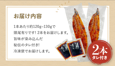 国産うなぎ蒲焼（２本）タレ付き / 和歌山 田辺市 国産 国産うなぎ 国産鰻 うなぎ 鰻 鰻丼 うな丼 土用の丑の日 【ots016】