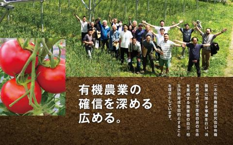 《2026年5月より順次発送》季節の有機野菜「春セット」【一般社団法人二本松有機農業研究会】