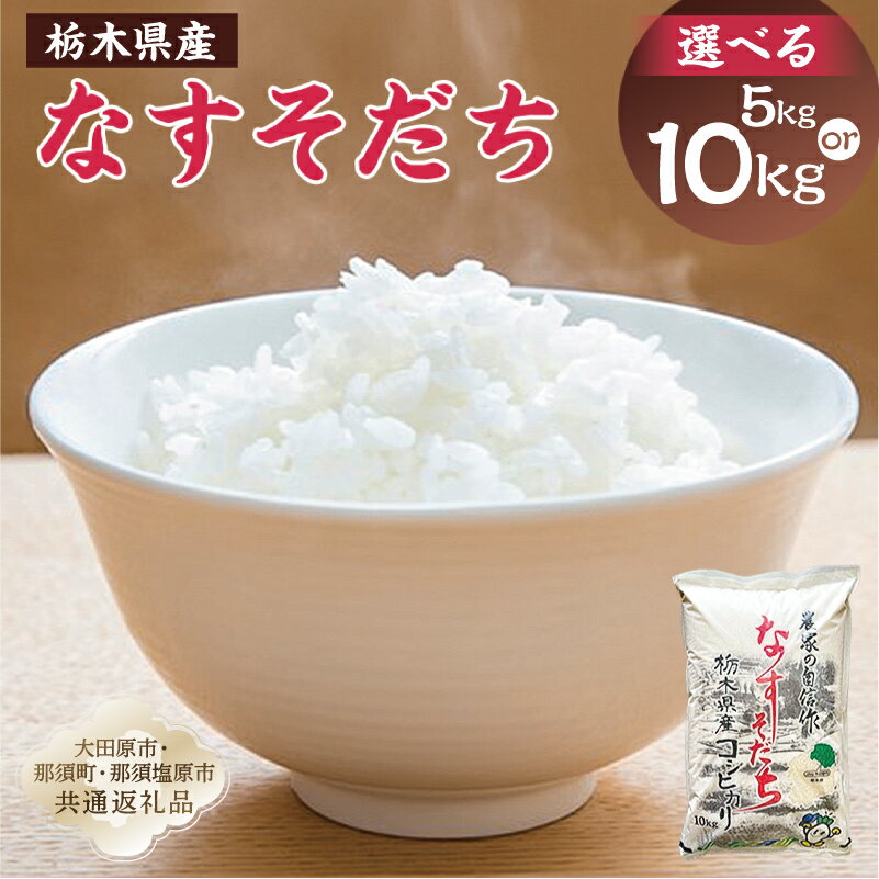 【ふるさと納税】【選べるkg数】【大田原市・那須塩原市・那須町共通返礼品】＜米＞令和7年産 栃木県産 コシヒカリ なすそだち JAなすの産地直送 栃木県 那須塩原市 お米 ご飯 おにぎり お取り寄せ 大粒 食品 国産 送料無料