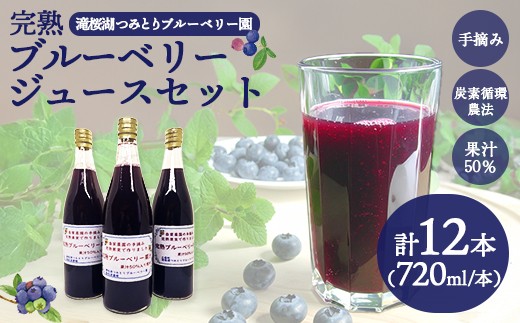 完熟ブルーベリージュース720ml×12本（福島県三春町産）　【07521-0171】