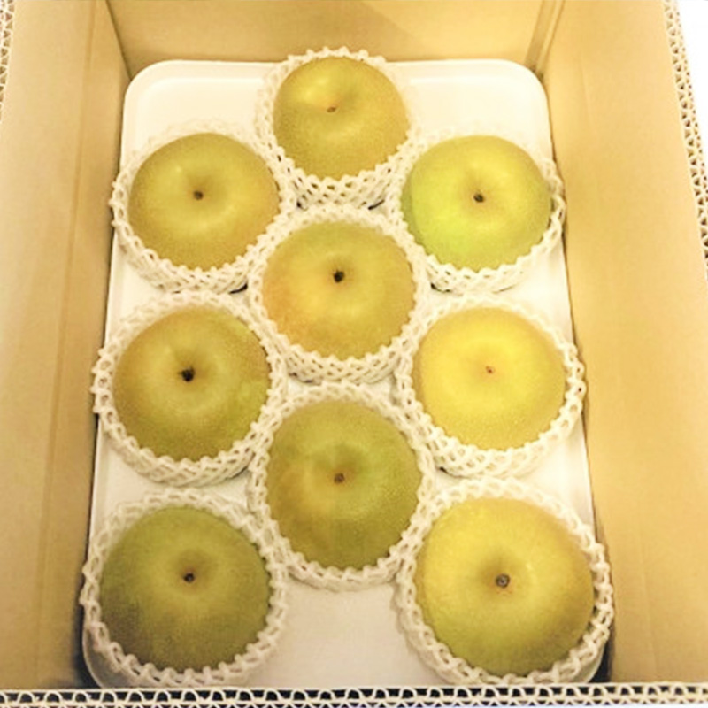 【産地直送】筑前町の豊かな自然の中で育まれた梨 約3kg(5玉～9玉)【梨 なし ナシ 幸水 豊水 秋月 甘太 新高 王秋 愛宕 果物 くだもの 果実 フルーツ 新鮮 フレッシュ 旬 筑前町産 食品 おすすめ 人気 ふるさと納税 福岡県 筑前町 送料無料 AE055】【202609】