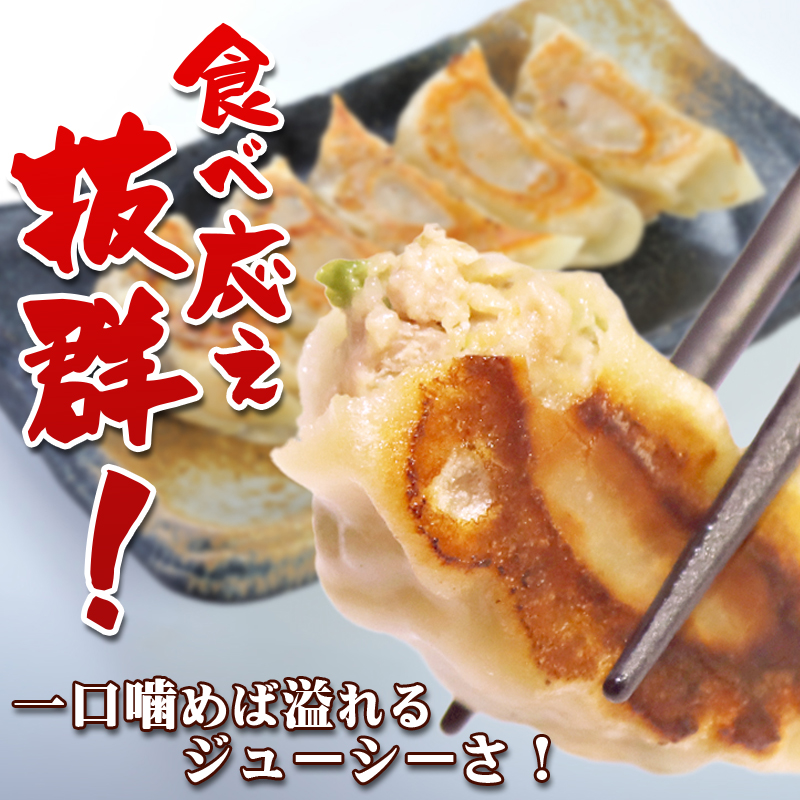 ざぶ～ん 自家製 餃子 10個入り×5パック 計50個（冷凍生餃子）