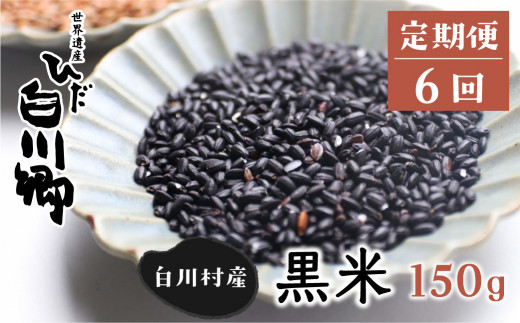 定期便 全6回 白川郷の古代米 黒米 150g×1袋 毎月1回 6回お届け もち米の玄米 紫黒米 低農薬 ｜ 米 定期便 定期便 米 古代米 黒米 古代米 定期便 黒米 雑穀 雑穀米 米 雑穀 定期便 おにぎり もちもち 雑穀 世界遺産 白川郷 ギフト 贈答 プレゼント 贈り物 お取り寄せ お祝い ご褒美 家族 お返し [S265]