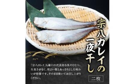 4回定期便 羅臼の魚 おすすめセット(1) 魚 切り身 切身 海鮮 福袋 家族 たら さくらます ほっけ カレイ こまい 一夜干し 粕漬け 北海道産 海鮮 海産物 魚介 魚卵 生産者 応援 支援 詰め
