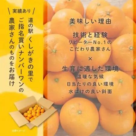 温州みかん先行予約!和歌山県産ミカン約5kg(40個～60個入)秀品　味に自信あり!こだわり農家厳選【1707202】