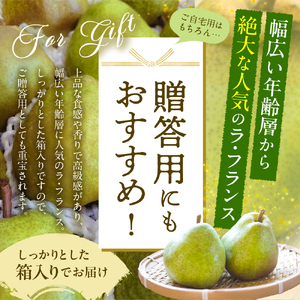 【2025年 先行予約】2025年産　西洋梨 ラ・フランス 約3kg (8～11玉入) 山形県 東根市　hi026-010-1　ラフランス 洋梨 洋ナシ フルーツ 果物 くだもの 産地直送 期間限定 