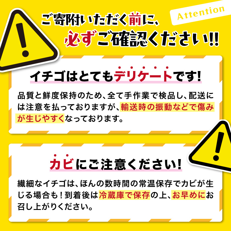 佐賀産いちご「いちごさん」＆「さがほのか」定期便 彩りセット【全3回】 999-B863_イメージ4