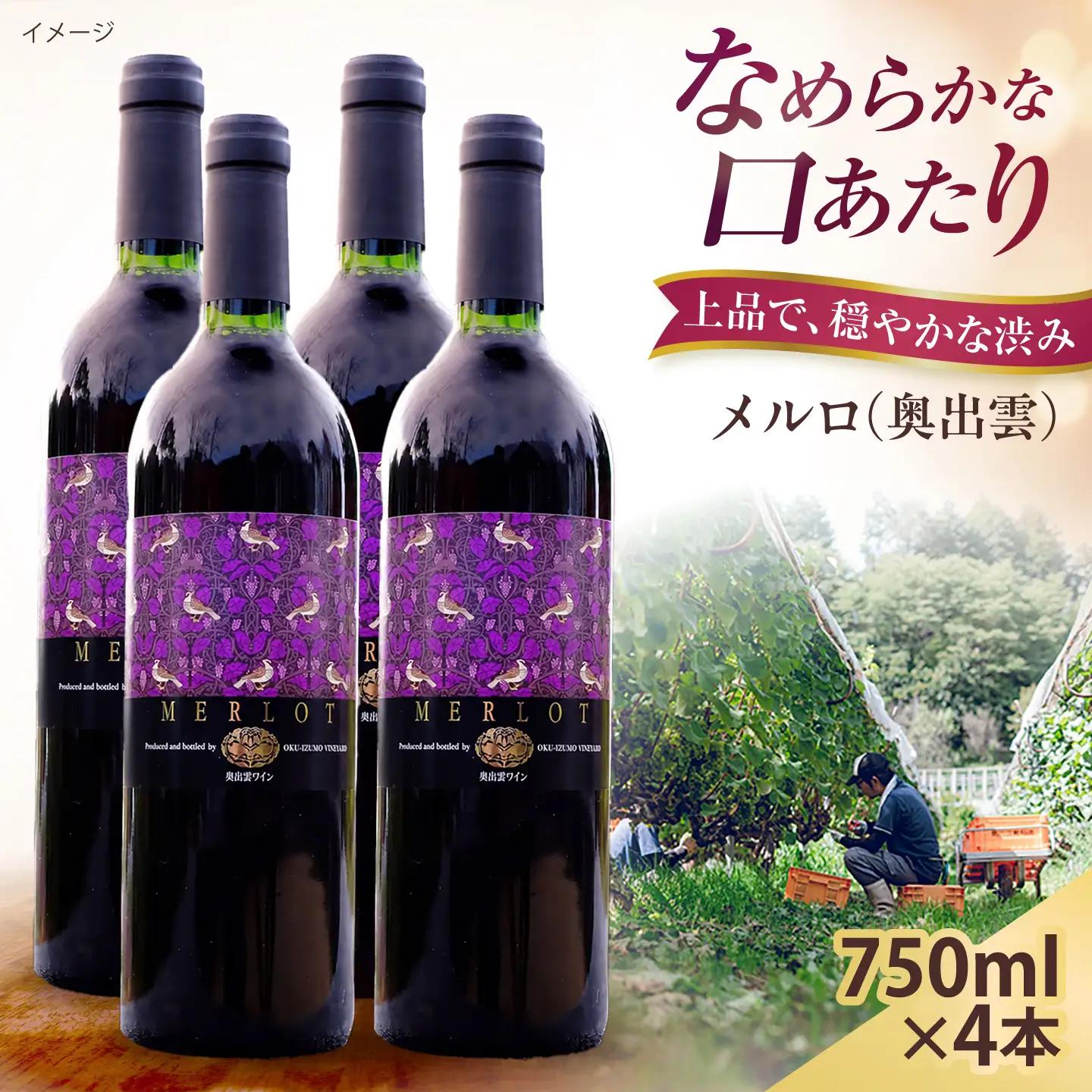 奥出雲ワイン メルロ 4本 750ml×4 赤ワイン 国産 島根県雲南市/有限会社奥出雲葡萄園[AICS098]