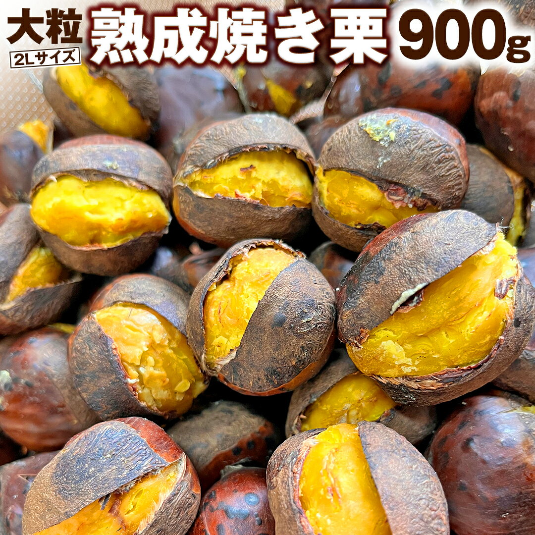 【ふるさと納税】【 谷口農場 】 大粒 熟成 焼き栗 900g ( 2Lサイズ ) 300g × 3袋 完熟 栗 くり クリ 栗ごはん 果物 フルーツ　数量限定