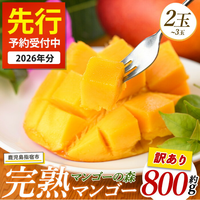 【ふるさと納税】＜先行予約受付中！2026年7月上旬以降順次発送＞【訳あり】しあわせ完熟マンゴー 約800g 2玉 ～ 3玉 国産 南国 指宿産 鹿児島 アップルマンゴー マンゴー 果物 くだもの フルーツ 完熟 産地直送 お取り寄せ 夏【マンゴーの森】