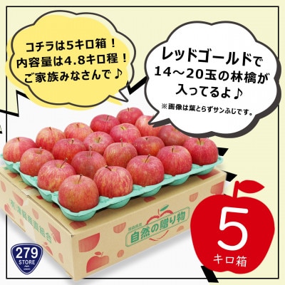 10月下旬頃発送 レッドゴールド 家庭用 5キロ箱 4.8kg 14～20玉 津軽りんご 産地直送【配送不可地域：離島】