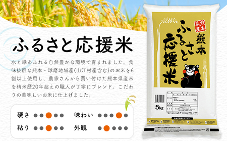 【3ヶ月定期便】米 無洗米 家庭用 熊本 ふるさと応援 定期便 米  10kg《申込み翌月から発送》 熊本県産 白米 精米 山江村 ブレンド米 国産 おうちご飯 予約 返礼品 発送 配送 SDGs わ