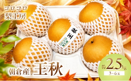 
                  梨 王秋梨 まるで食べる梨ジュース！！約2.5kg 3～6玉入 ナシ 果物 フルーツ 先行予約 
                