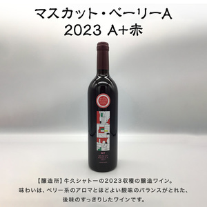 【数量限定】茨城物語 日本遺産３市特産 詰め合わせ（笠間焼・梅酒・ワイン）（MQ-1）