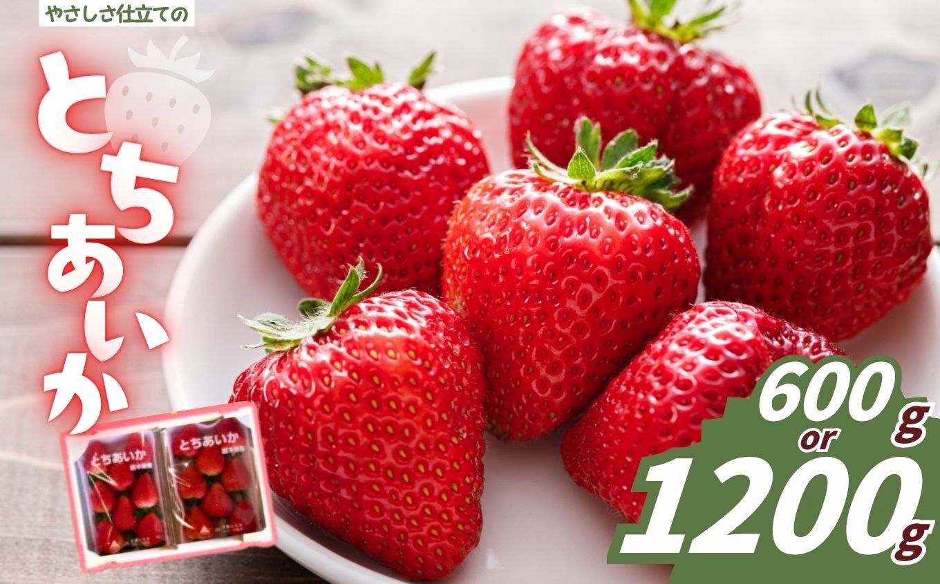 
                  やさしさ仕立ての とちあいか 300g× 2P or 4P【2027年先行予約】 栃木県 矢板市
                