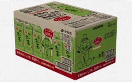 お～いお茶　緑茶600ml　24本セット