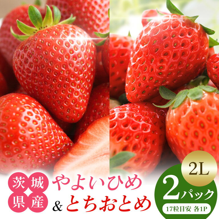 【ふるさと納税】 やよいひめ＆とちおとめ食べ比べセット2L いちご 苺 イチゴ フルーツ 果物 ください 茨城県 石岡市 A13-007