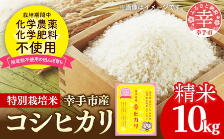 【令和7年産】無農薬・無化学肥料栽培 埼玉県幸手市産特別栽培コシヒカリ 「幸ヒカリ」精米10kg -  米 特別栽培米 幸手市産