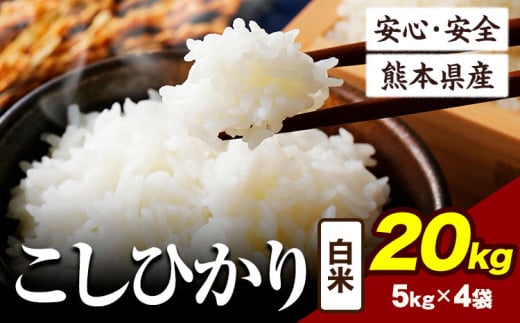 令和6年産 こしひかり 20kg 《7-14日以内に出荷予定(土日祝除く)》令和6年産 熊本県産 ふるさと納税 白米 精米 ひの 米 こめ ふるさとのうぜい コシヒカリ コメ お米 おこめ