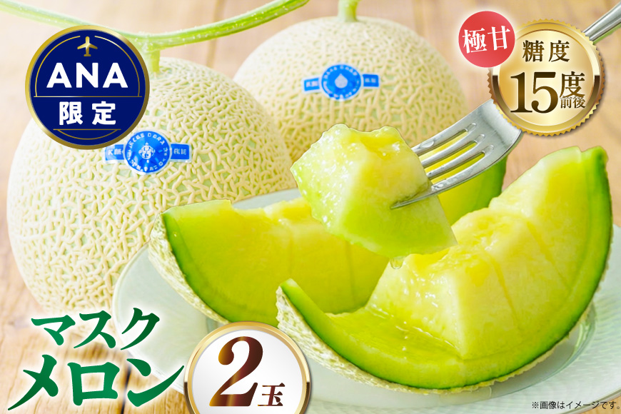 【期間限定発送】LAA048 その道一筋の生産者がじっくり丁寧に育てた マスクメロン 2玉入 [ メロン めろん 西瓜 フルーツ 果物 くだもの 青肉 甘い 芳香 高糖度 糖度 長崎県 島原市 ]