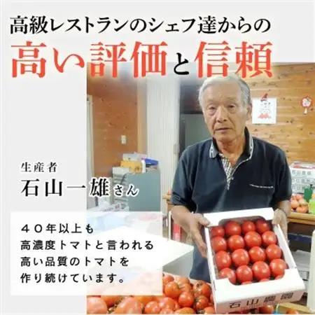 【先行受付2027年発送】美味しんぼに登場　トマト「桃太郎」大箱 28玉～42玉　特選　糖度9度以上【配送不可地域：離島・沖縄県】【1604235】