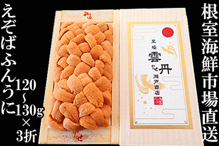 エゾバフンウニ（黄系）120～130ｇ×3折【2026年1月中旬以降発送】 D-14064