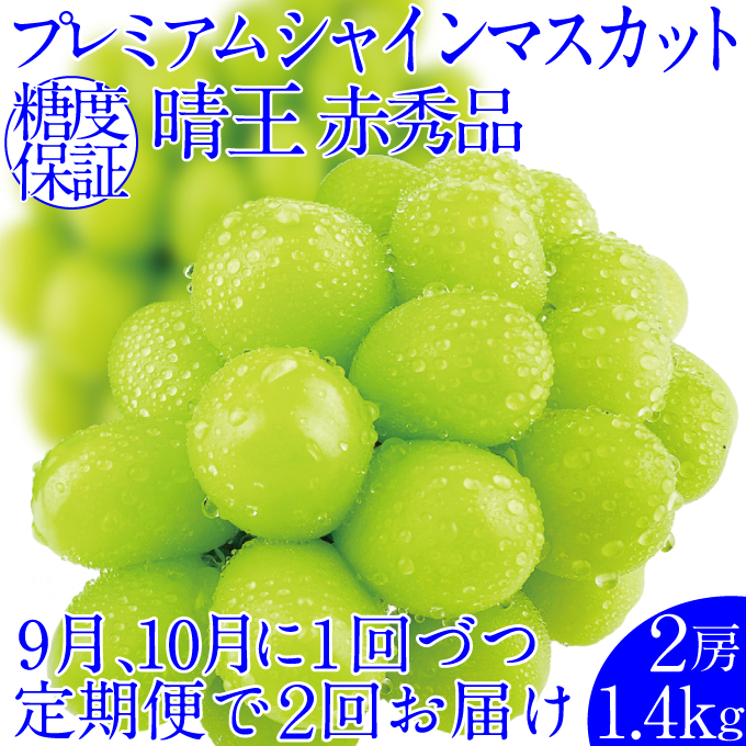 2025年予約受付中【2回定期便】 プレミアムシャインマスカット晴王 2房約1.4kg 人気 岡山県産 赤秀品 種無し 皮ごと食べる みずみずしい 9月・10月にお届け ハレノフルーツ