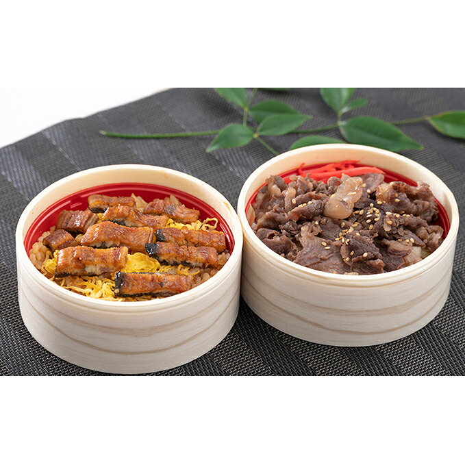 【ふるさと納税】うなぎ 静岡祭丼 各3食 おすすめセット A 浜名湖鰻まぶし丼 三ヶ日牛丼 冷凍惣菜 牛肉 お肉 プロトン冷凍 レンジ簡単調理 静岡県浜松市