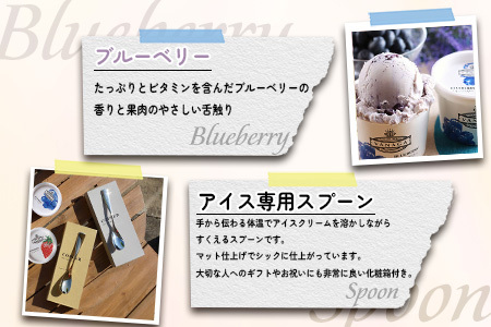 VANAGAプレミアムご当地アイス12個とアイス専用スプーン（ゴールド1本）の13点セット