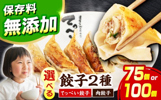 【選べる種類・容量】人気ラーメン店の本気の「てっぺい餃子」100個入り(小分け包装)【保存料無添加】【メディアでも話題:石田てっぺいラーメン店】 国産豚肉 餃子 ぎょうざ 冷凍 惣菜 おかず おつまみ 大容量 餃子 冷凍餃子 ぎょうざ 肉餃子 惣菜 おかず おつまみ 大容量 業務用 簡単 大阪府高槻市/無人屋 [AOCX006]