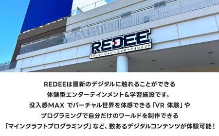 REDEE 入場チケット 大人1名様