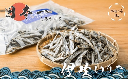 伊吹いりこ 大羽 カタクチイワシ 伊吹島産 伊吹いりこ【1kg 250g×4袋】
